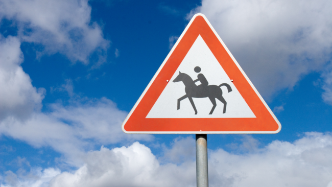 Leadership 201: Are They a Racehorse or Trail Horse?