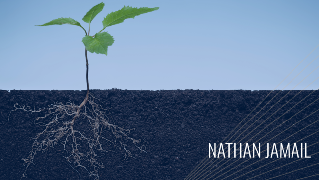 Blog Banner for Focus on the Roots, Not The Fruits of Your Labor