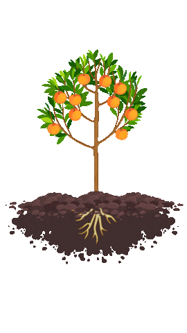 Gif Focus on the Roots, Not The Fruits of Your Labor