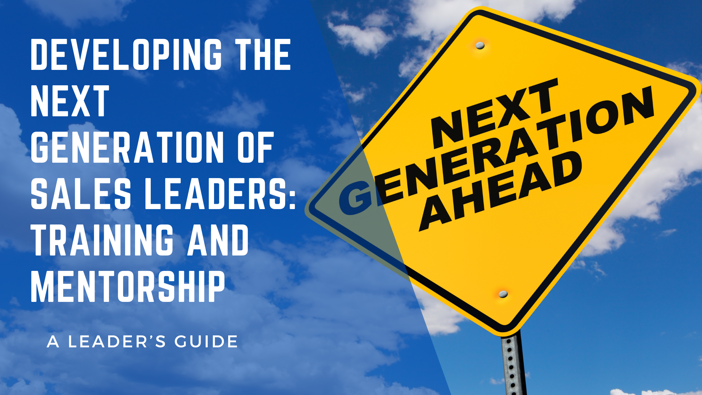 Effective strategies for developing the next generation of sales leaders through tailored training and mentorship programs. Discover how personalized learning paths and one-on-one coaching can cultivate high-potential professionals into future leaders