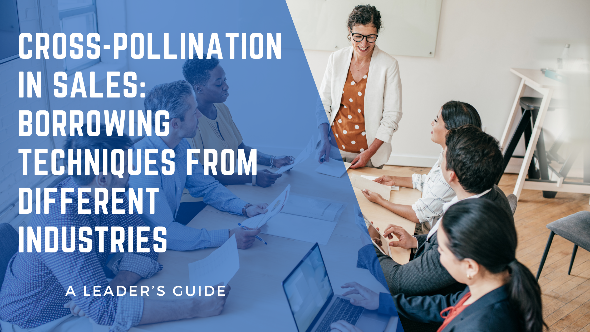 Discover how cross-pollination in sales can transform your strategy! Learn how borrowing techniques from tech, healthcare, entertainment, and more can drive innovation, boost engagement, and improve sales success.