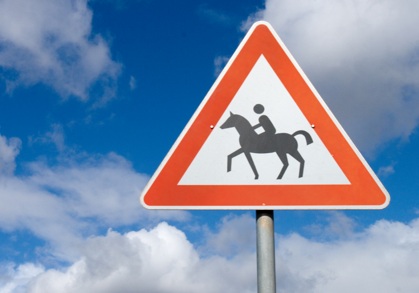 Leadership 201: Are They a Racehorse or Trail Horse?