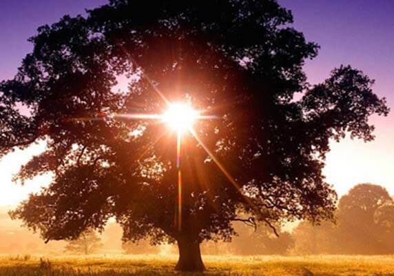 three-ways-to-approach-life